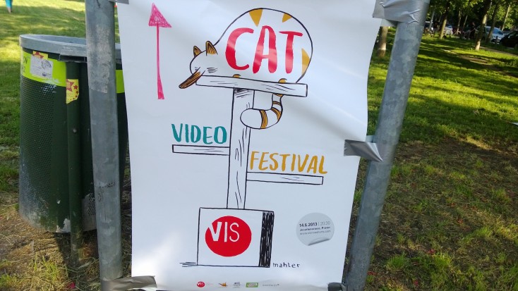 cat-video-festival